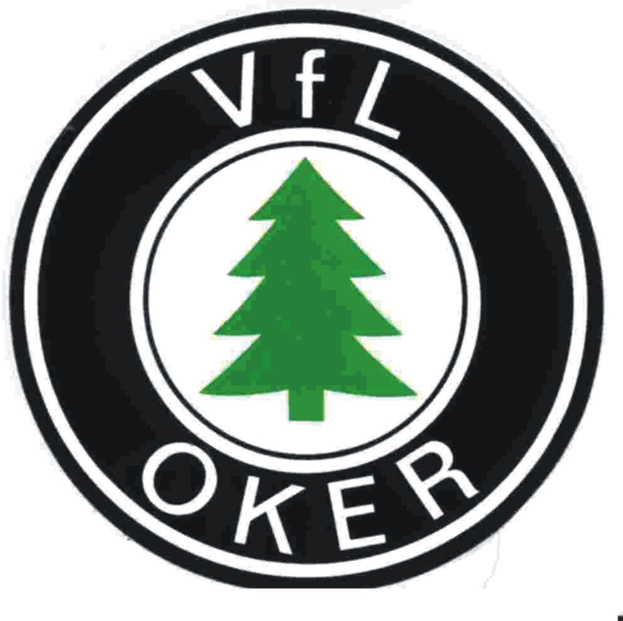 Verein für Leibesübungen von 1875 Oker e.V.