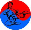 Taekwon-Do-Club Hwarang-Do Hannover e. V.