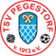 Turn- und Sportverein Pegestorf 1913 e.V.