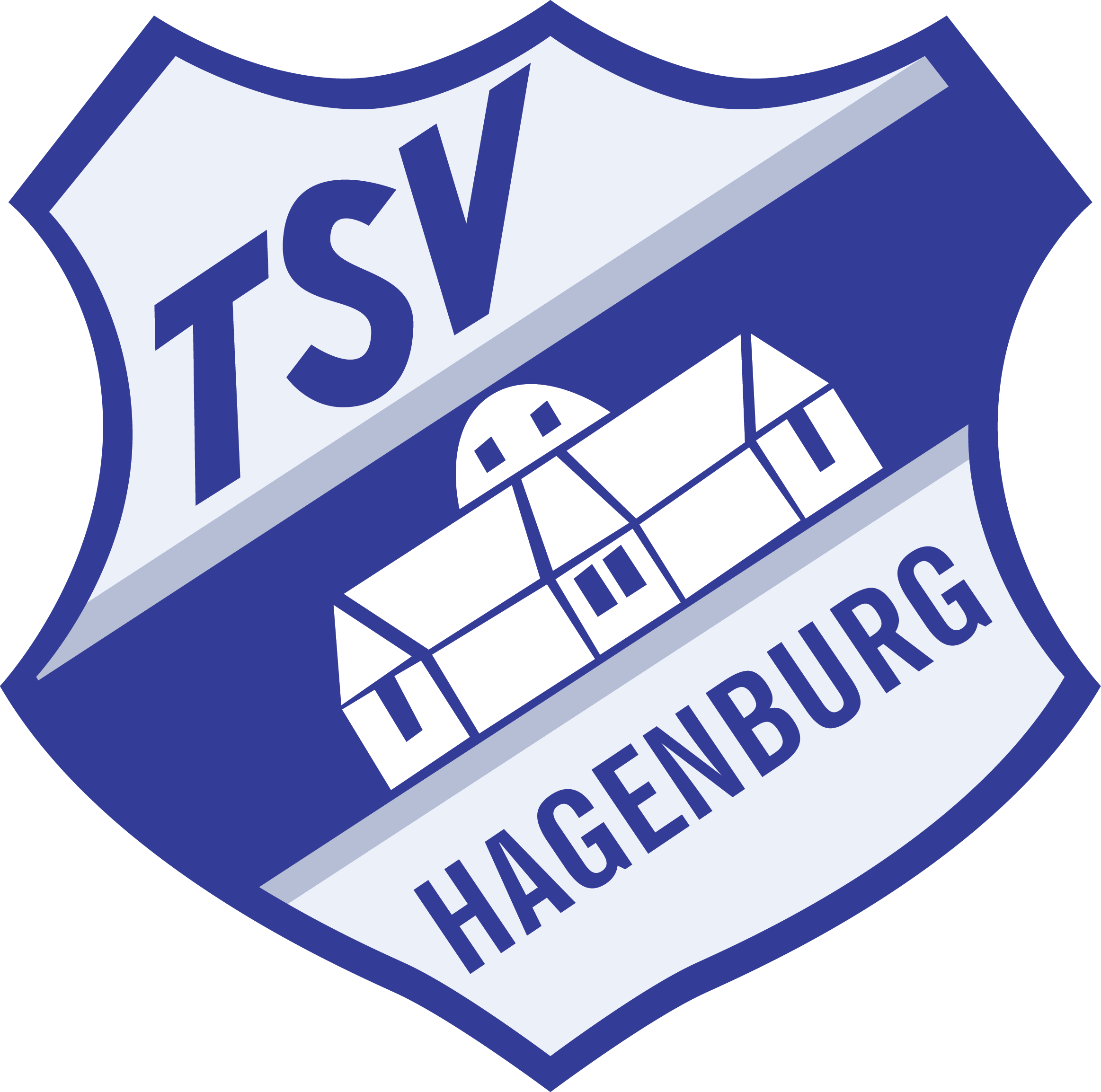 Turn- u. Sportverein Hagenburg von 1910 e.V. (TSV Hagenburg)