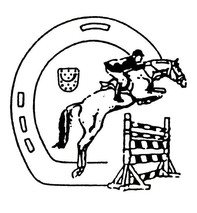 Reitsportclub Vechtetal Nordhorn e.V.