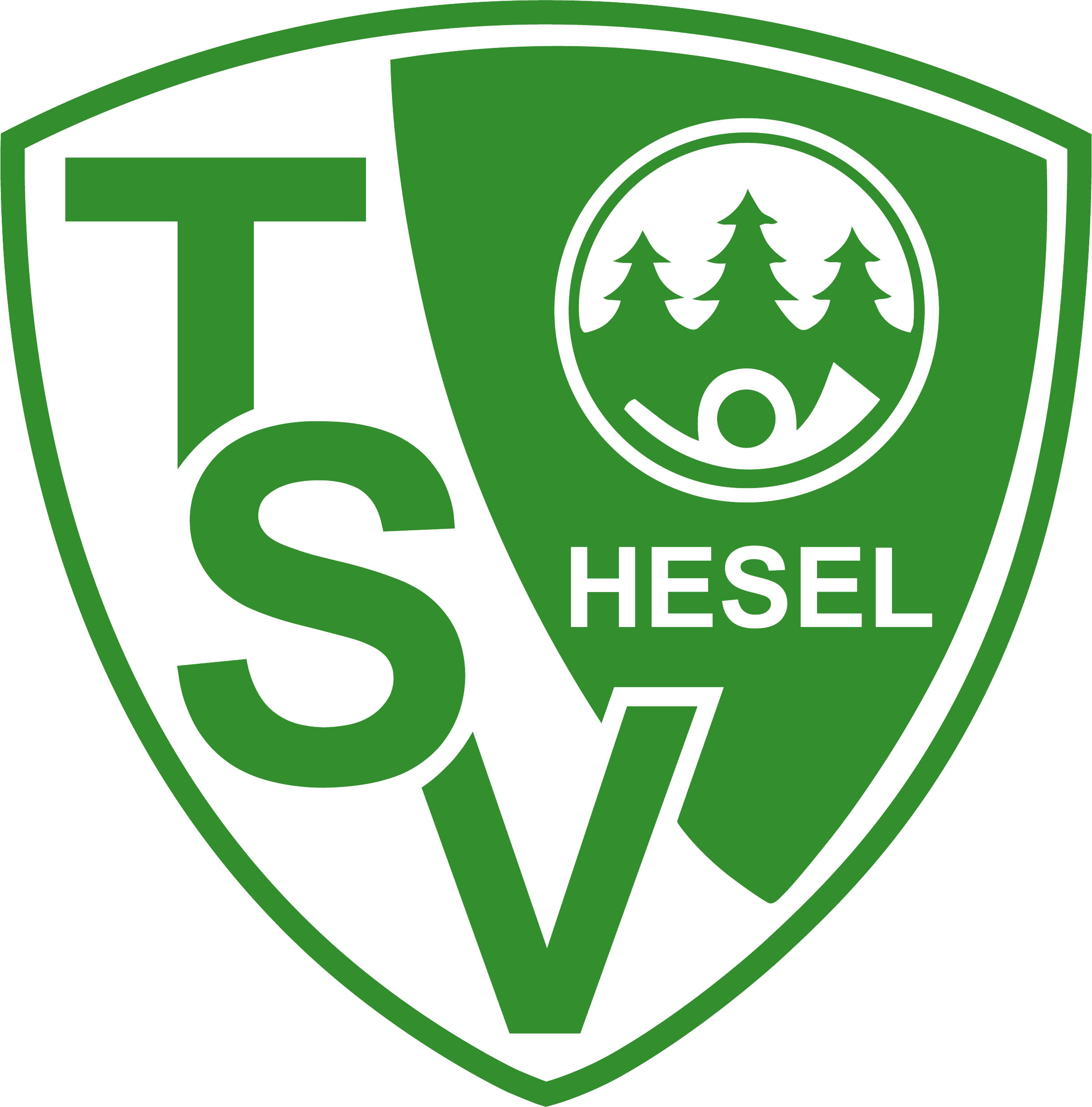 Turn- und Sportverein Hesel e.V.